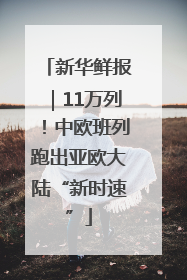 新华鲜报｜11万列！中欧班列跑出亚欧大陆“新时速”